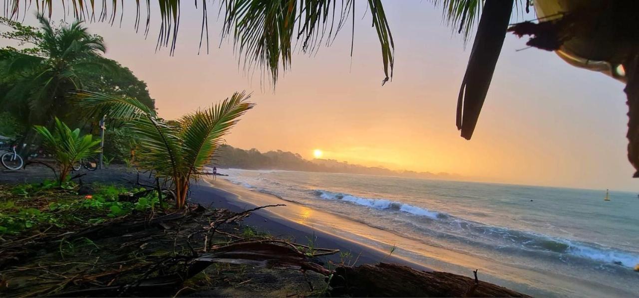 Mecca 호텔 Puerto Viejo de Talamanca 외부 사진
