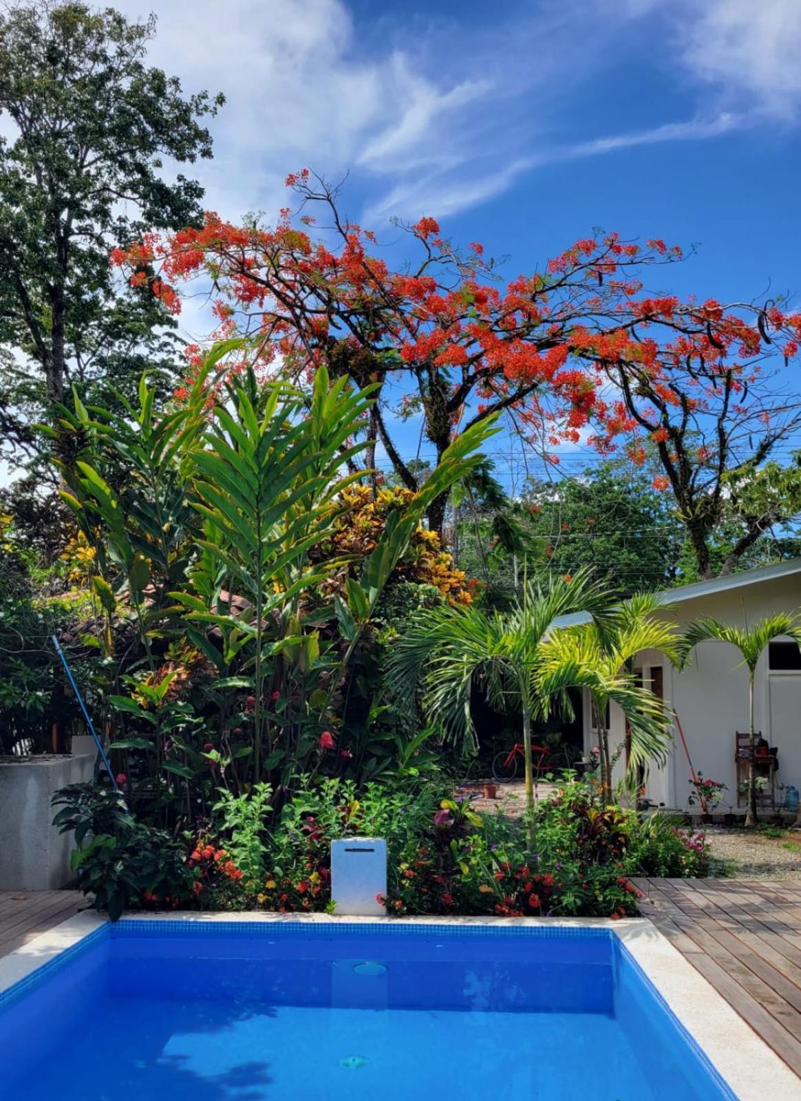 Mecca 호텔 Puerto Viejo de Talamanca 외부 사진