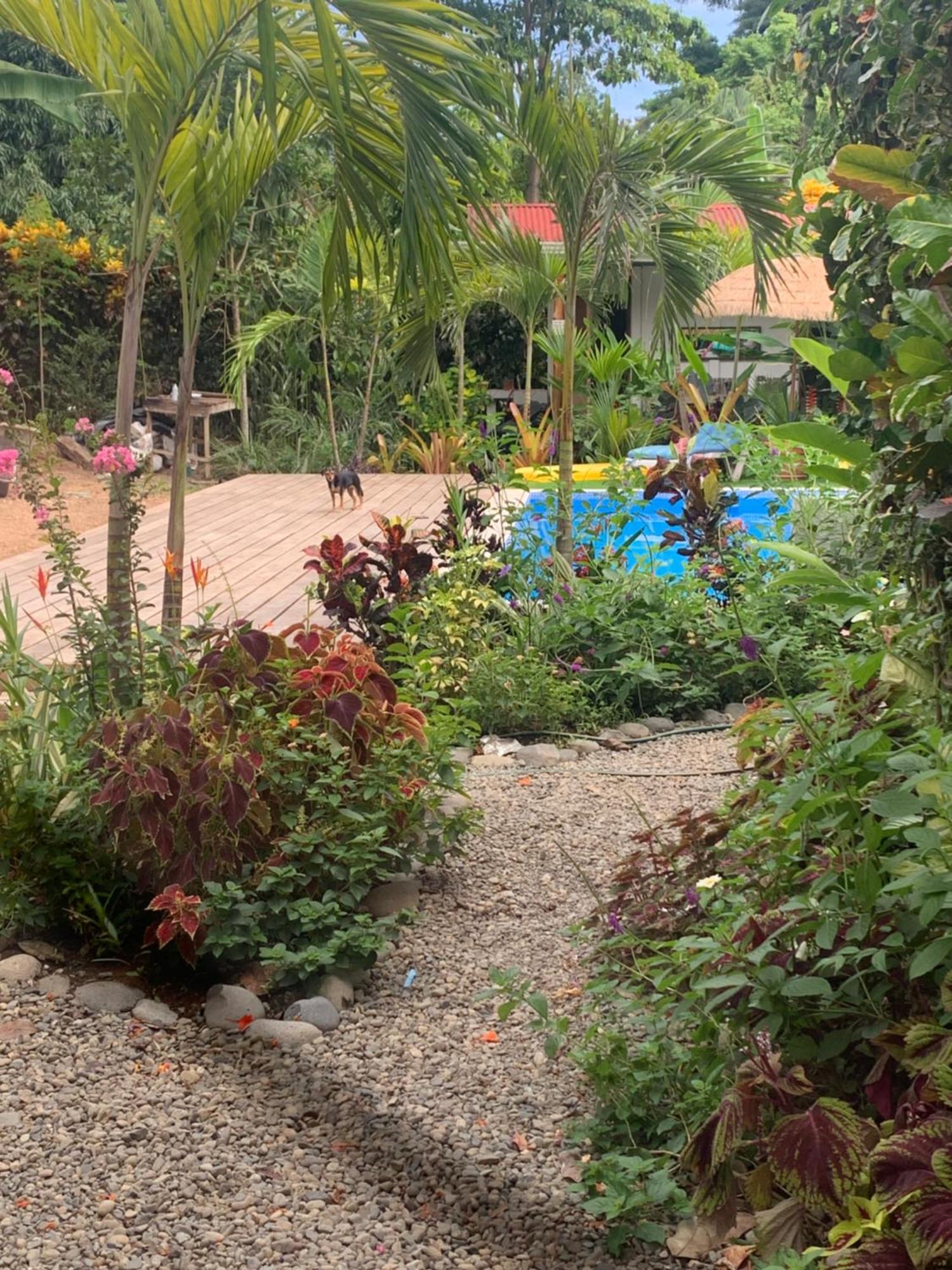 Mecca 호텔 Puerto Viejo de Talamanca 외부 사진