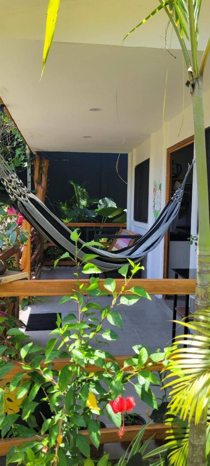 Mecca 호텔 Puerto Viejo de Talamanca 외부 사진